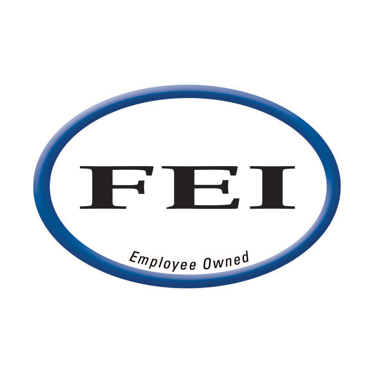 Link to the FEI Website