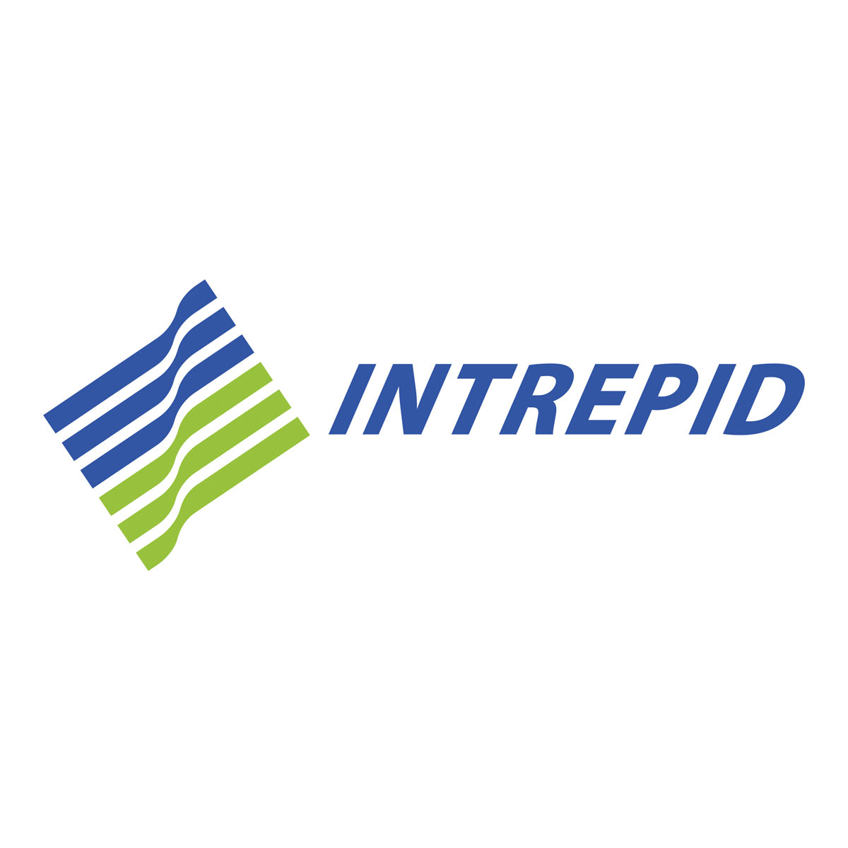 Link to the Intrepid Website