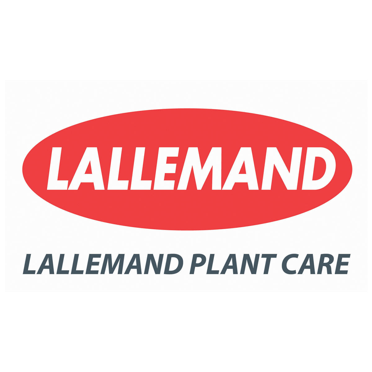 Link to the Lallemand Website
