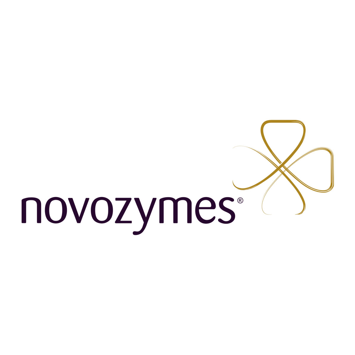 Link to the Novozymes Website